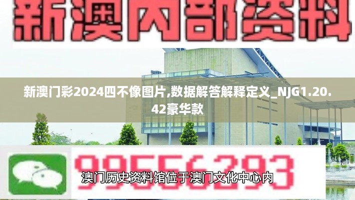 新澳门彩2024四不像图片,数据解答解释定义_NJG1.20.42豪华款