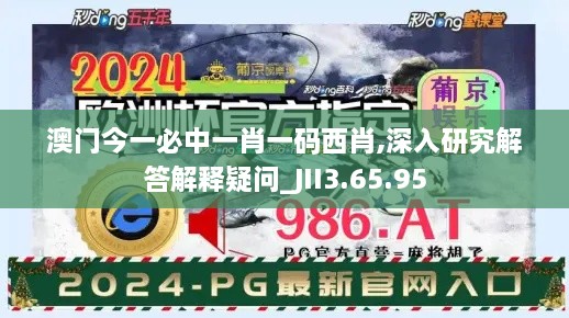 澳门今一必中一肖一码西肖,深入研究解答解释疑问_JII3.65.95