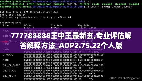 777788888王中王最新玄,专业评估解答解释方法_AOP2.75.22个人版