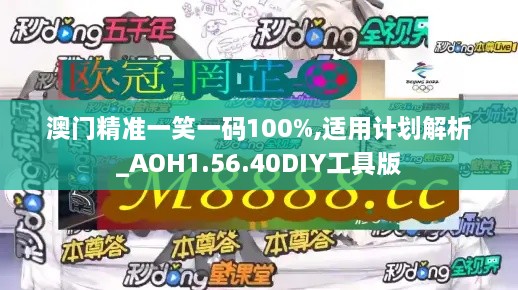 澳门精准一笑一码100%,适用计划解析_AOH1.56.40DIY工具版