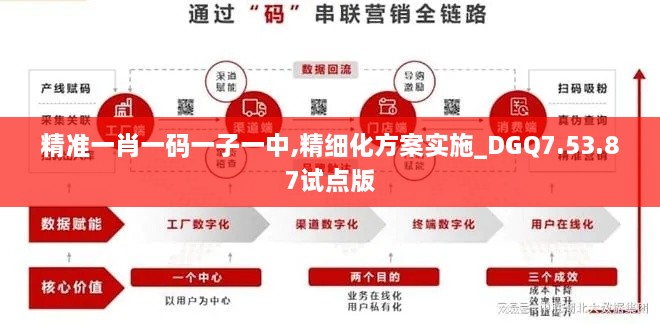 精准一肖一码一子一中,精细化方案实施_DGQ7.53.87试点版