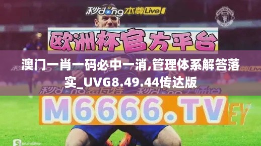 澳门一肖一码必中一消,管理体系解答落实_UVG8.49.44传达版