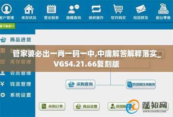 管家婆必出一肖一码一中,中庸解答解释落实_VGS4.21.66复刻版