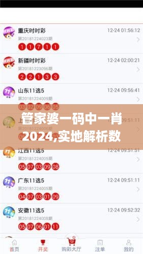 管家婆一码中一肖2024,实地解析数据考察_MJY4.26.53配送版