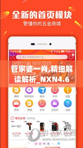 管家婆一肖,精细解读解析_NXN4.61.77模块版