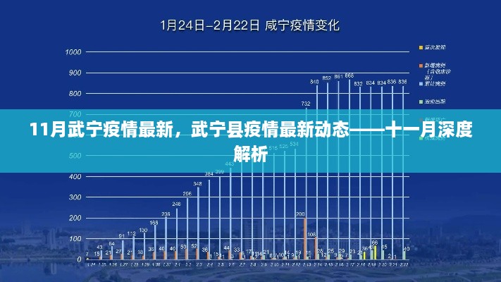 武宁县疫情最新动态深度解析，十一月最新疫情报告