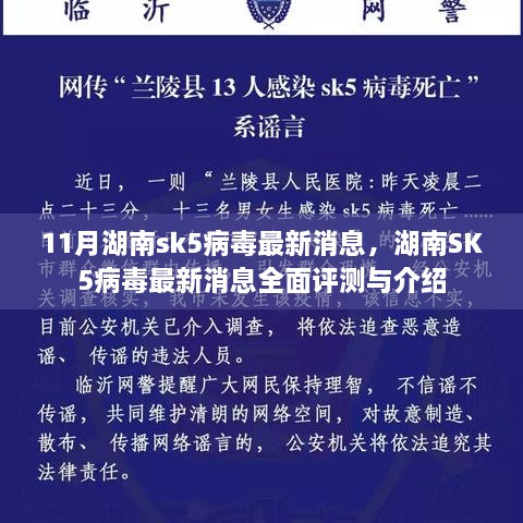 湖南SK5病毒最新消息全面评测与介绍，最新动态一网打尽