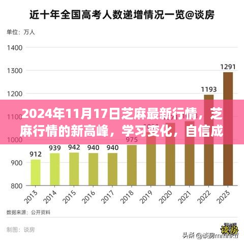 2024年芝麻行情高峰，学习变化，自信成就未来