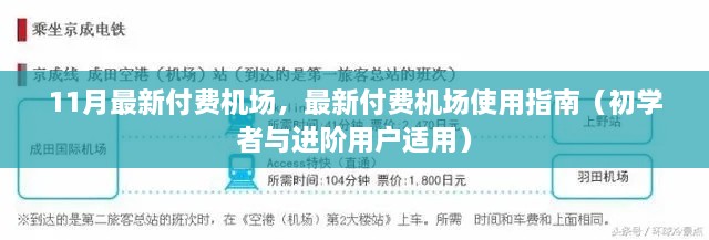 最新付费机场使用指南，从入门到进阶的全面教程（11月版）