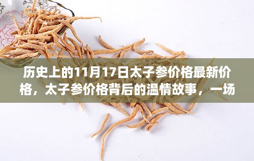 太子参价格背后的温情故事，友谊与陪伴的秋日回忆，历史最新价格记录