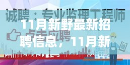 11月新野招聘信息大全，职场人的机会与前沿挑战