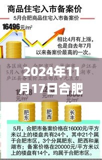 合肥云谷新篇，温馨备案日揭秘，最新备案价揭晓（2024年11月）