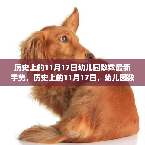 历史上的11月17日，幼儿园数数手势的演变与创新历程