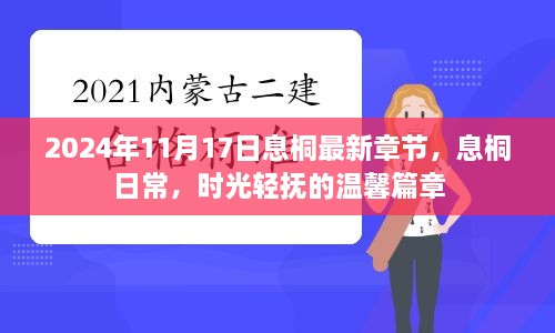 时光轻抚，息桐日常——温馨篇章（最新章节 2024年11月17日）