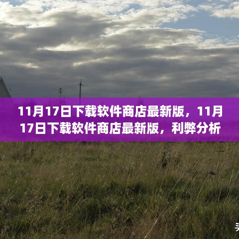 11月17日软件商店最新版下载，利弊分析与个人看法