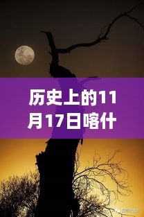 历史上的11月17日喀什动态回顾与深度解析