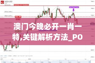 澳门今晚必开一肖一特,关键解析方法_POF2.78.51精致版