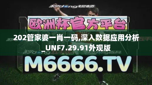 202管家婆一肖一码,深入数据应用分析_UNF7.29.91外观版