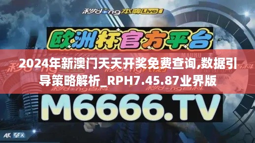 2024年新澳门天天开奖免费查询,数据引导策略解析_RPH7.45.87业界版