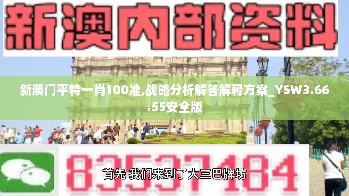 新澳门平特一肖100准,战略分析解答解释方案_YSW3.66.55安全版