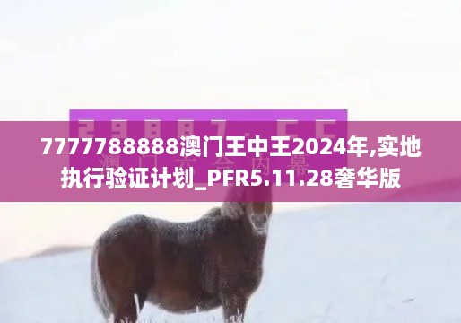 7777788888澳门王中王2024年,实地执行验证计划_PFR5.11.28奢华版