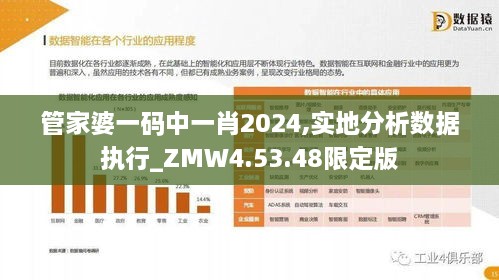 管家婆一码中一肖2024,实地分析数据执行_ZMW4.53.48限定版