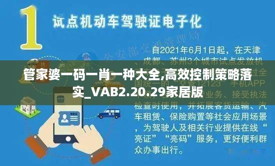 管家婆一码一肖一种大全,高效控制策略落实_VAB2.20.29家居版