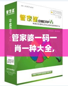 管家婆一码一肖一种大全,高效解答解释落实_FOE8.29.51拍照版