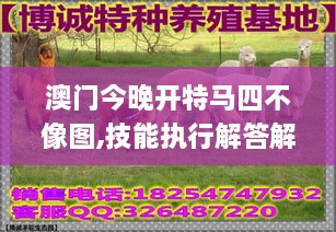 澳门今晚开特马四不像图,技能执行解答解释_EYY7.63.53护眼版