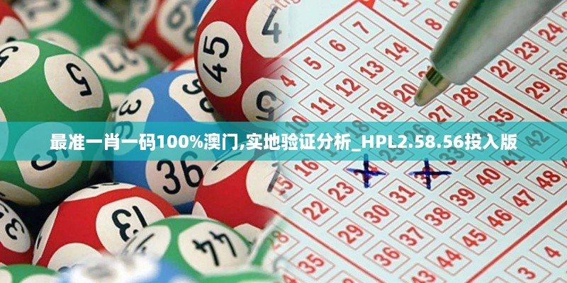 最准一肖一码100%澳门,实地验证分析_HPL2.58.56投入版