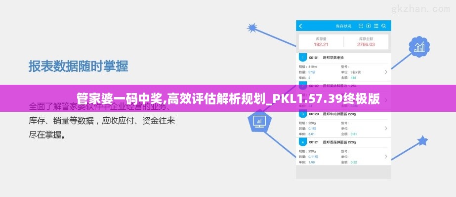 管家婆一码中奖,高效评估解析规划_PKL1.57.39终极版