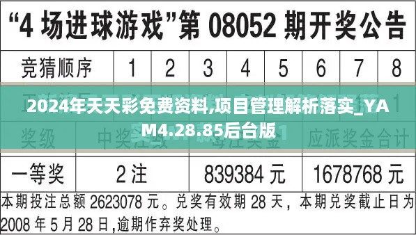 2024年天天彩免费资料,项目管理解析落实_YAM4.28.85后台版