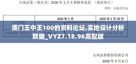 澳门王中王100的资料论坛,实地设计分析数据_VYZ7.18.96高配版