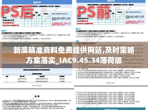 新澳精准资料免费提供网站,及时策略方案落实_IAC9.45.34薄荷版