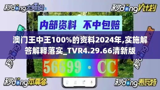 澳门王中王100%的资料2024年,实施解答解释落实_TVR4.29.66清新版