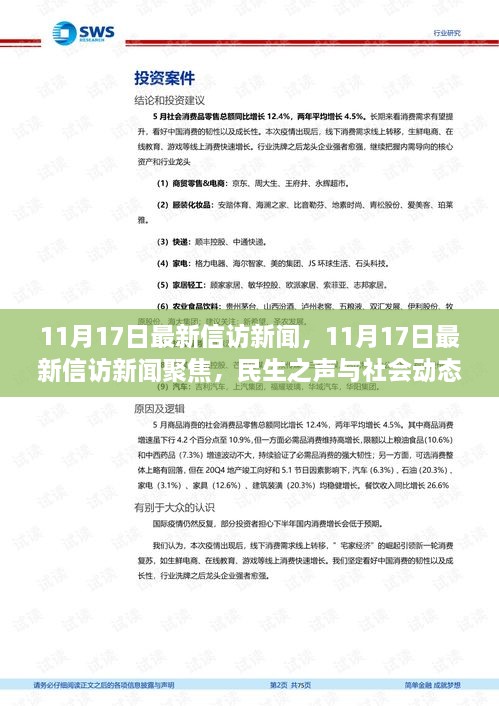 民生之声与社会动态交汇，最新信访新闻聚焦