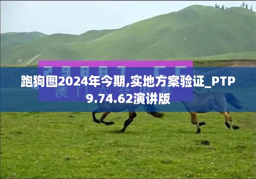 跑狗图2024年今期,实地方案验证_PTP9.74.62演讲版