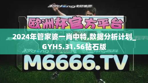 2024年管家婆一肖中特,数据分析计划_GYH5.31.56钻石版