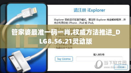 管家婆最准一码一肖,权威方法推进_DLG8.56.21灵动版