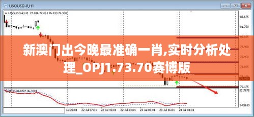 新澳门出今晚最准确一肖,实时分析处理_OPJ1.73.70赛博版