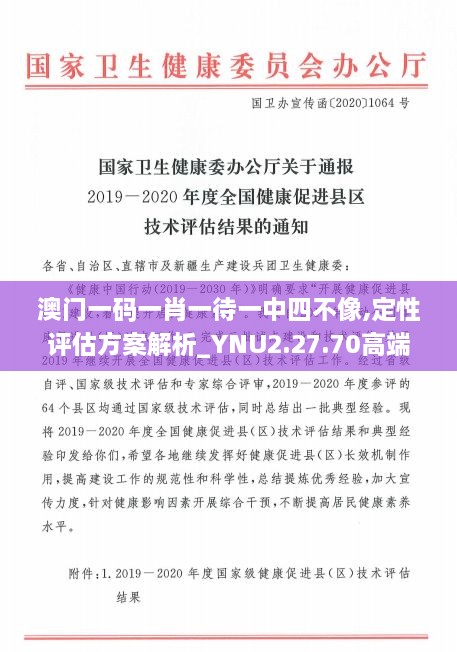 澳门一码一肖一待一中四不像,定性评估方案解析_YNU2.27.70高端体验版