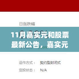 嘉实元和股票最新公告聚焦，展望未来发展之路。