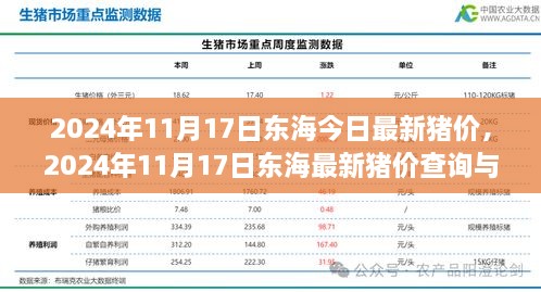 东海最新猪价行情解析，行业小达人养成指南