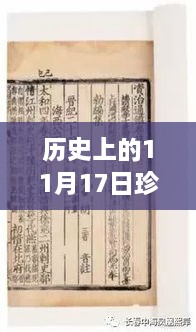 历史上的11月17日珍菌堂牛樟芝最新动态，新闻发布与全面参与体验指南