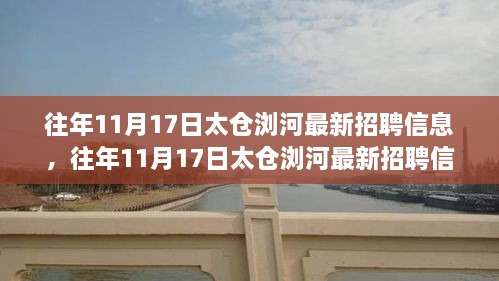 往年11月17日太仓浏河最新招聘信息深度解析，特性、体验与竞争分析全知道