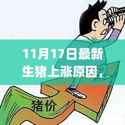 揭秘，11月17日生猪价格上涨原因及应对策略最新情报揭秘！