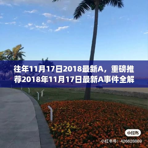 小红书热议焦点，2018年11月17日最新A事件全解析重磅推荐