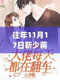 往年11月17日靳少蒋瑶揭秘，情感与命运的最新章节交织