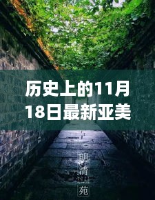 亚美小巷的隐藏瑰宝，特色小店非凡故事，历史上的11月18日最新探索