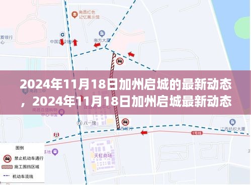 2024年11月18日加州启城最新动态，多元视角下的探讨